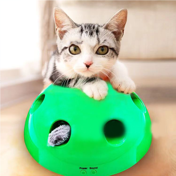 Interactive Motion Cat Toy - LuxxStores
