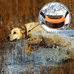 Wireless Dog Fence - Valued Essentials