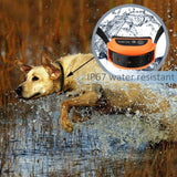 Wireless Dog Fence - Valued Essentials