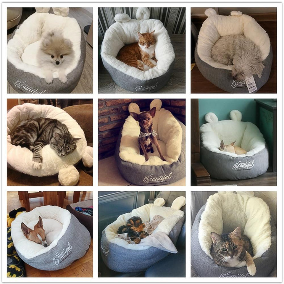 Cozy Pet Bed for Cat and Dog - LuxxStores