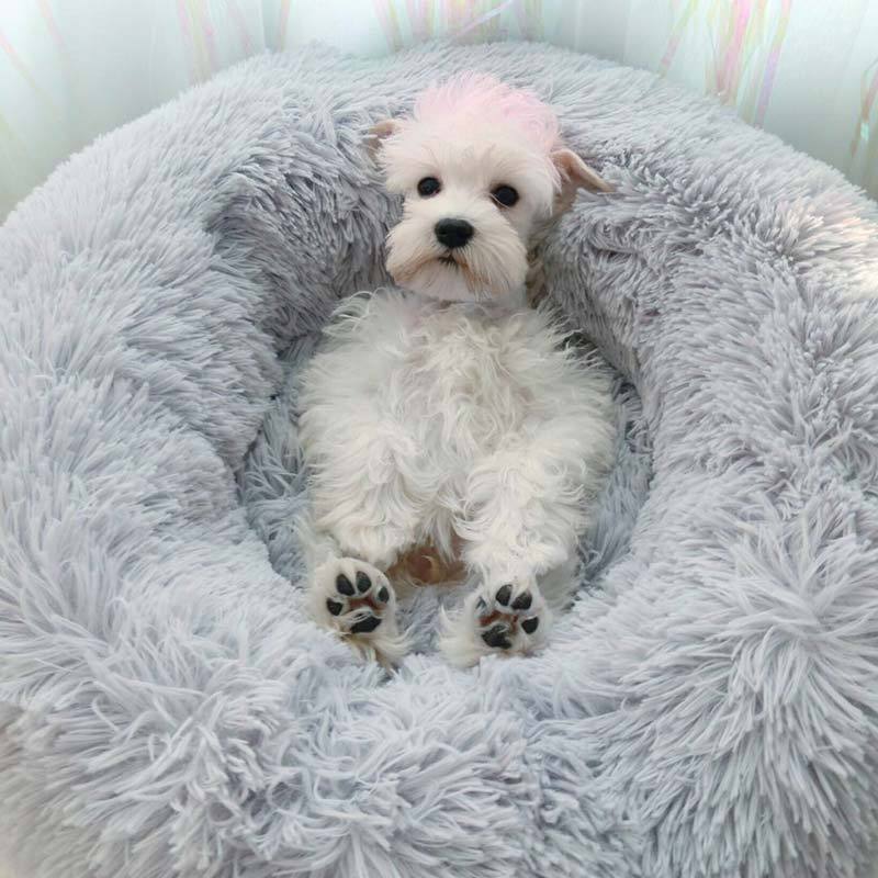 Calming Anti-Anxiety Comfy Dog/Cat Bed - LuxxStores