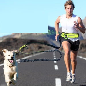 Handsfree Bungee Dog Leash with Waist Bag - LuxxStores