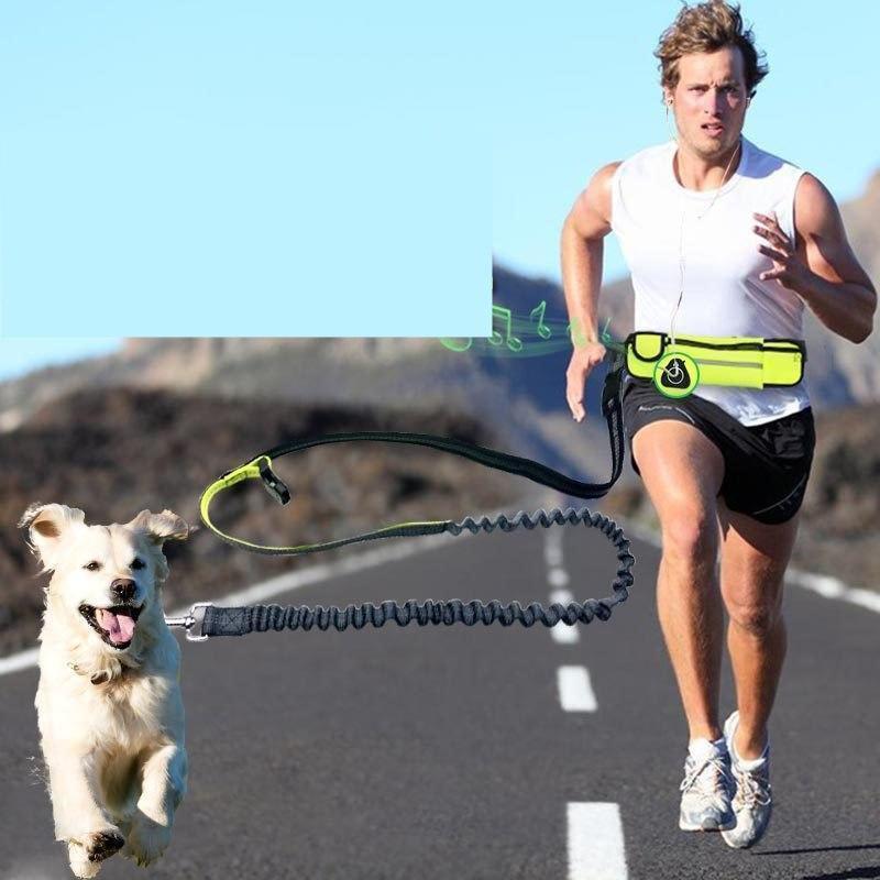 Handsfree Bungee Dog Leash with Waist Bag - LuxxStores