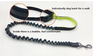 Handsfree Bungee Dog Leash with Waist Bag - LuxxStores