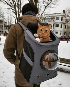 Large Cat Backpack with Breathable Window by Luxx Stores - LuxxStores