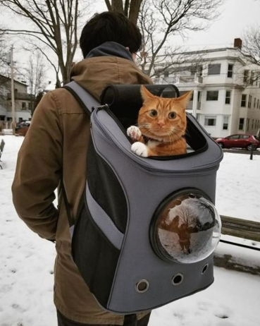 Large Cat Backpack with Breathable Window by Luxx Stores - LuxxStores