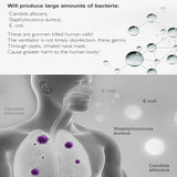 CPAP sanitizer and cleaner - Doctors Recommended - LuxxStores