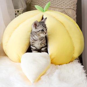 Pet Cat Dog Cute House Bed Mat Warm Soft Removeable Kennel Nest Pet Basket Halloween Funny Fruit Pumpkin House For Cat Dog Tent