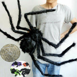Spider Web for Halloween Decoration by Valued Essentials