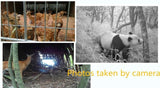Wireless Trail Camera 12MP 1080P by Luxx Stores - LuxxStores