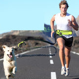 Handsfree Bungee Dog Leash with Waist Bag - LuxxStores