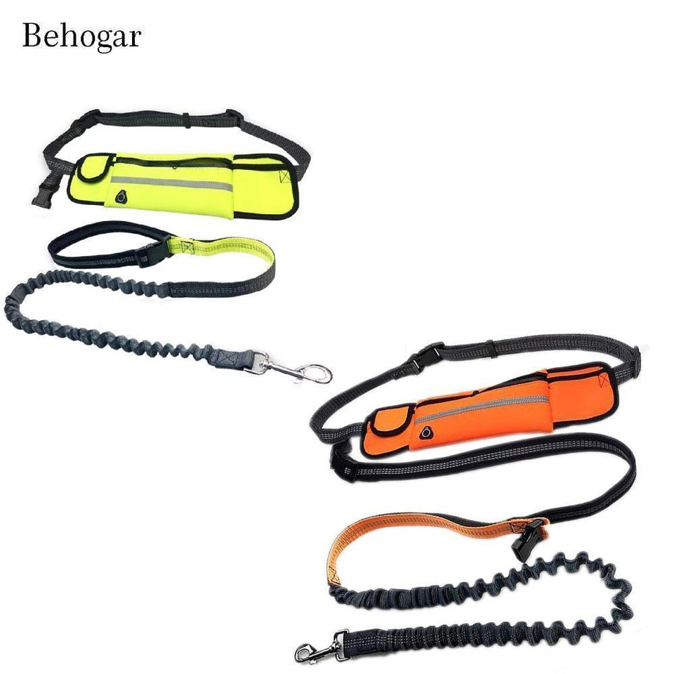 Handsfree Bungee Dog Leash with Waist Bag - LuxxStores