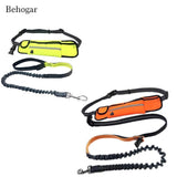 Handsfree Bungee Dog Leash with Waist Bag - LuxxStores