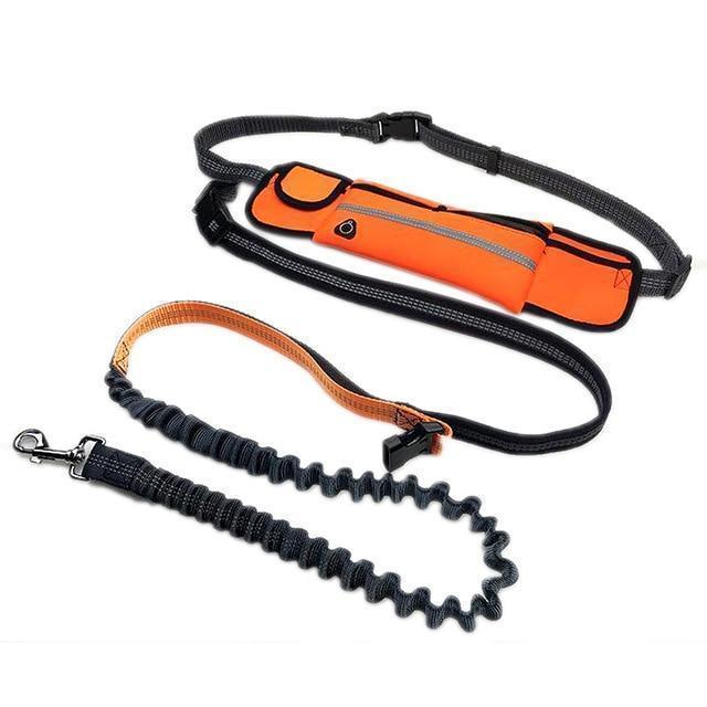 Handsfree Bungee Dog Leash with Waist Bag - LuxxStores