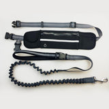 Handsfree Bungee Dog Leash with Waist Bag - LuxxStores
