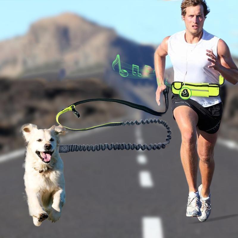 Handsfree Bungee Dog Leash with Waist Bag - LuxxStores