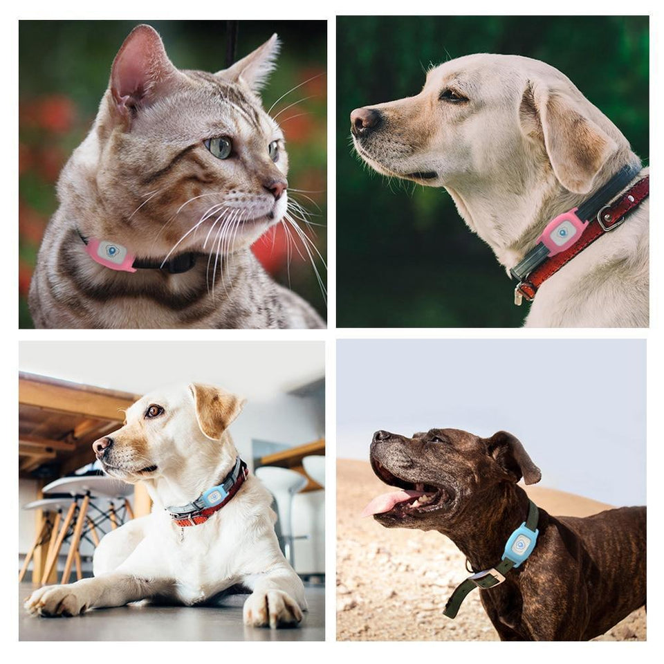 Cat GPS Tracker Tracking Collar Waterproof, Adjustable - LuxxStores