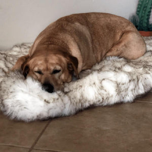 Orthopedic Sofa Dog Bed With Vegan Fur, Memory Foam - LuxxStores