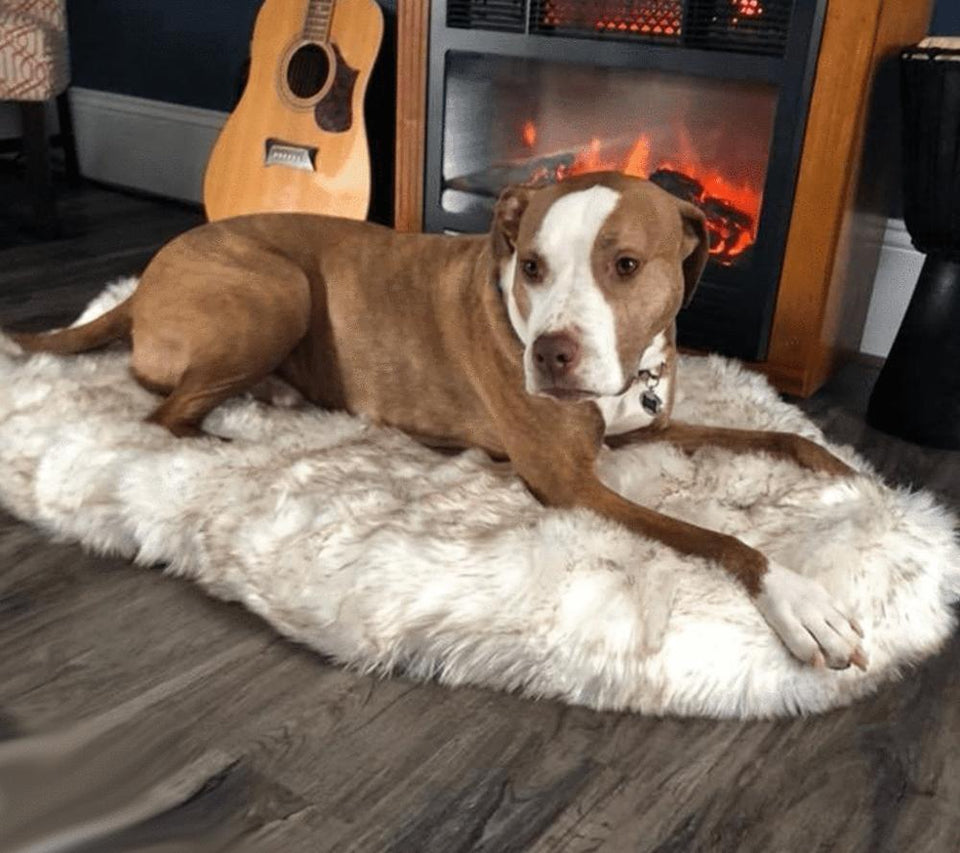 Orthopedic Sofa Dog Bed With Vegan Fur, Memory Foam - LuxxStores