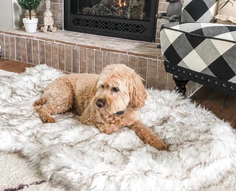 Orthopedic Sofa Dog Bed With Vegan Fur, Memory Foam - LuxxStores