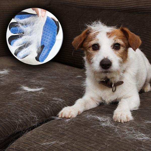 Deshedding Pet Grooming Glove - LuxxStores